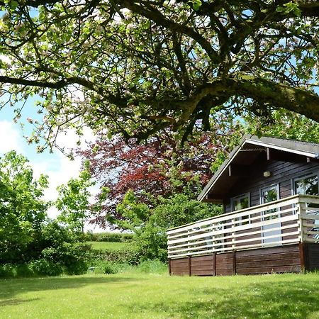 Avallon Lodges Launceston Exteriér fotografie