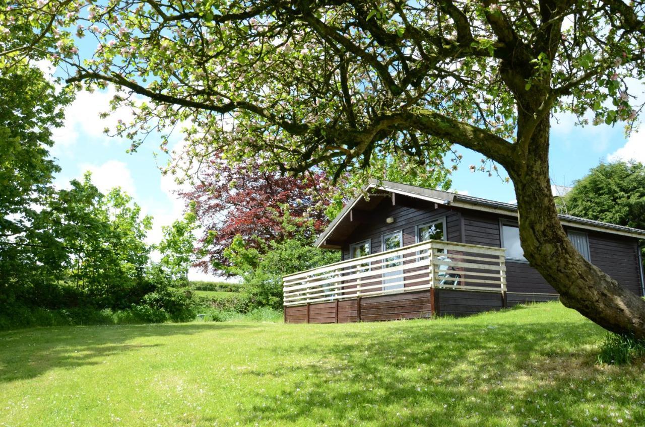 Avallon Lodges Launceston Exteriér fotografie