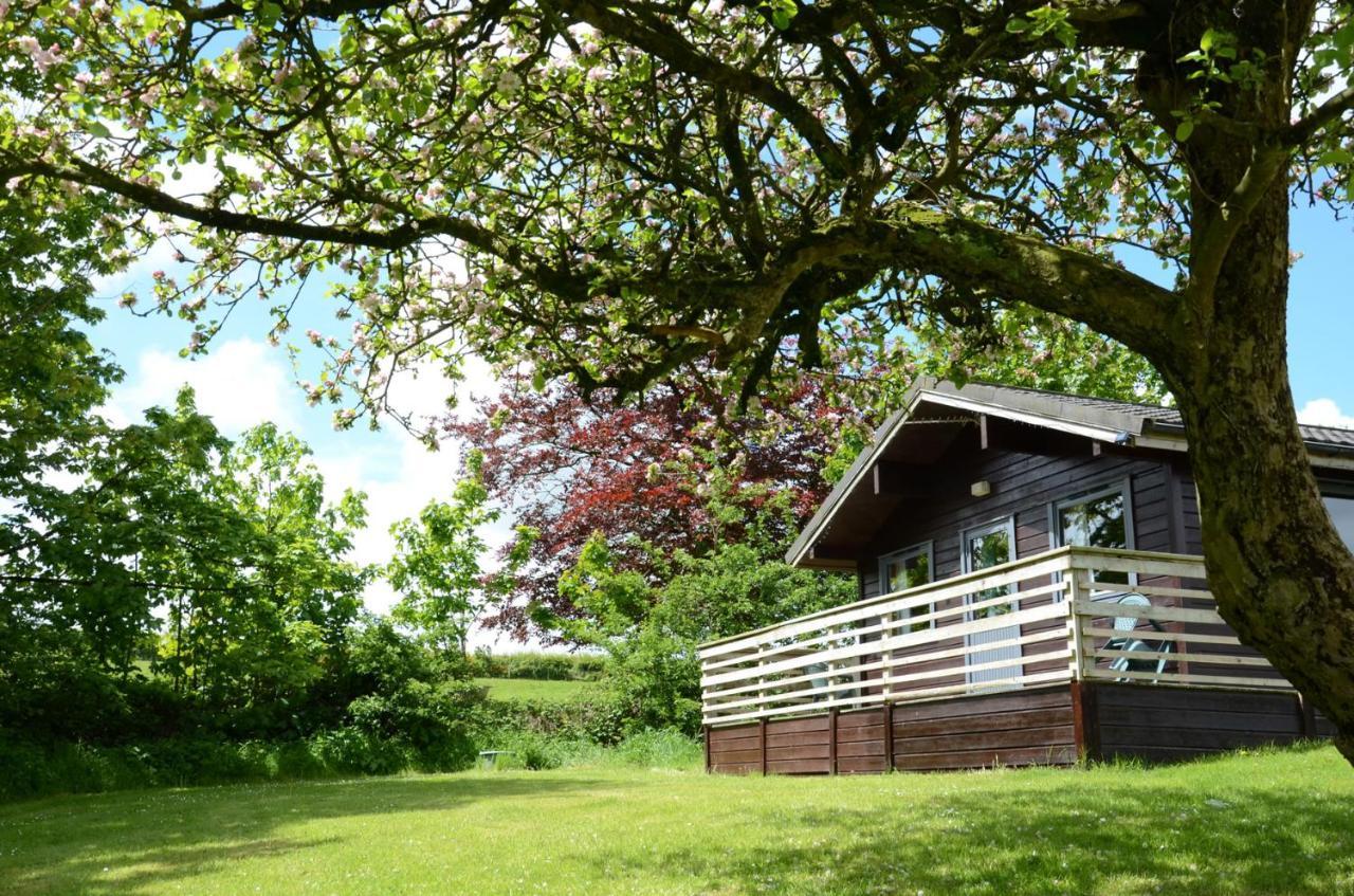 Avallon Lodges Launceston Exteriér fotografie