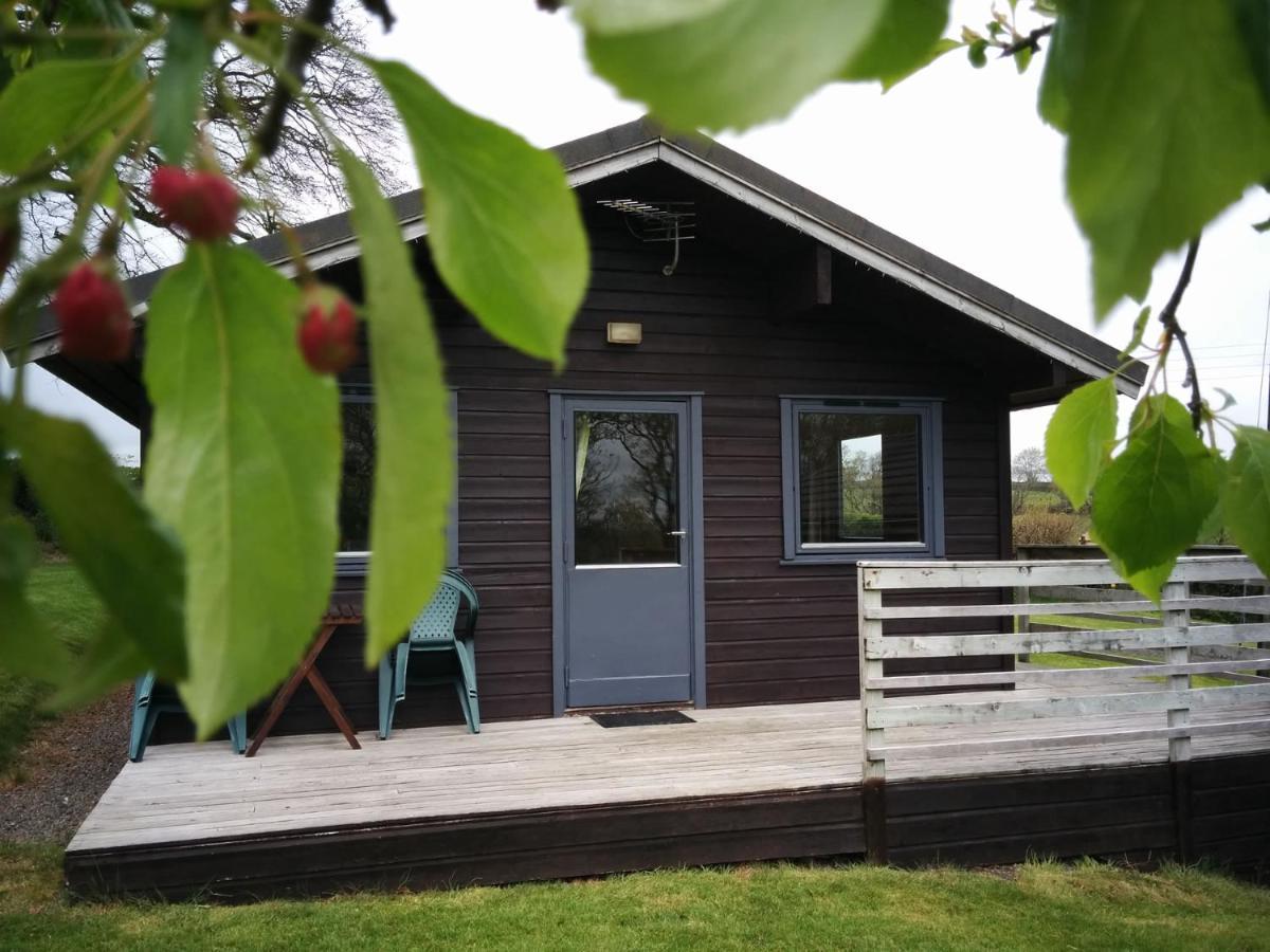 Avallon Lodges Launceston Exteriér fotografie