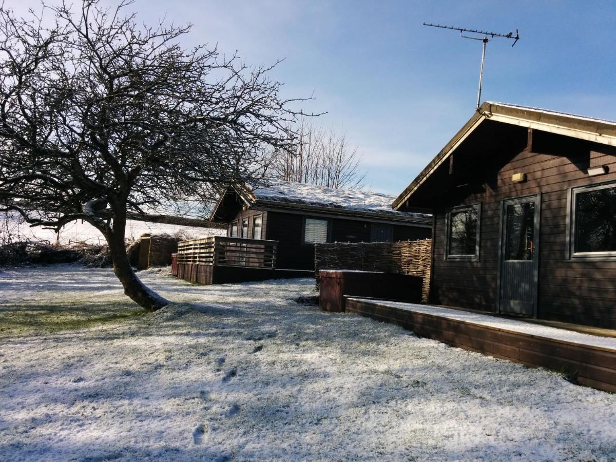 Avallon Lodges Launceston Exteriér fotografie