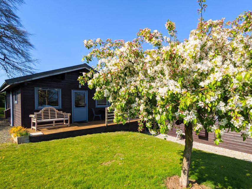 Avallon Lodges Launceston Exteriér fotografie